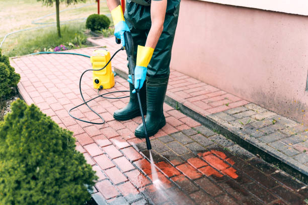 Best Building Exterior Pressure Washing in USA